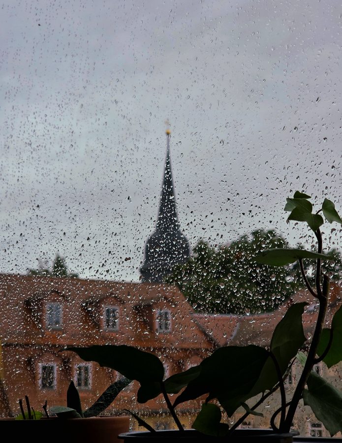 Tea and rain