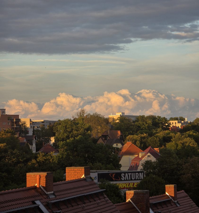 view